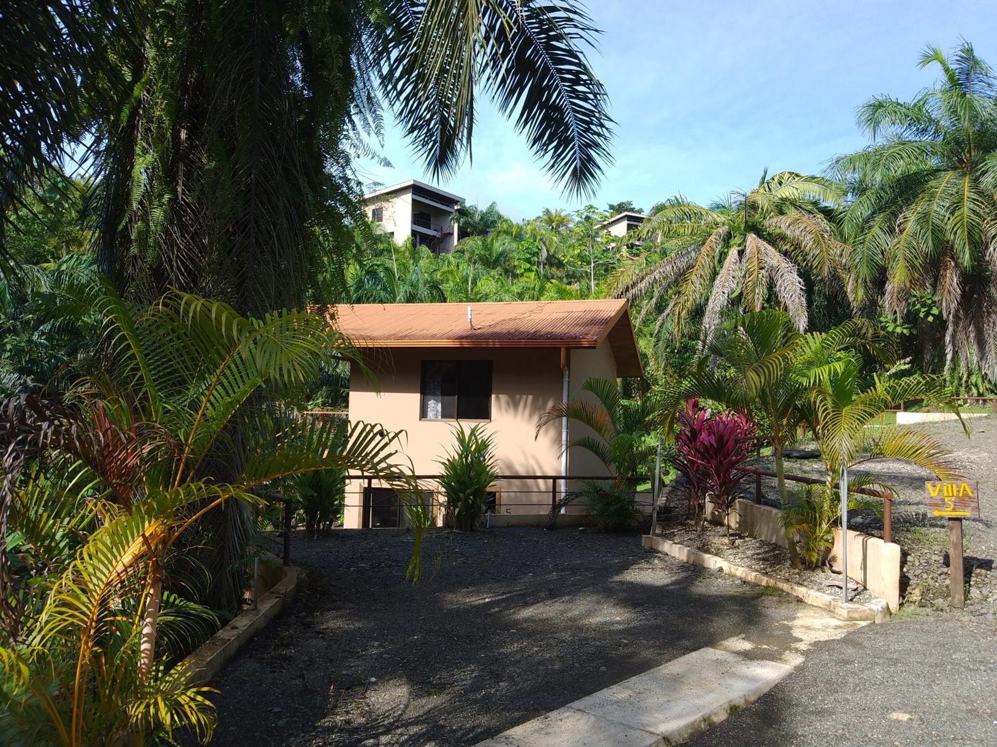 Osa Private Renting House-Villas-Tented-Best Views-Nature-Comfort Puerto Jiménez Kültér fotó
