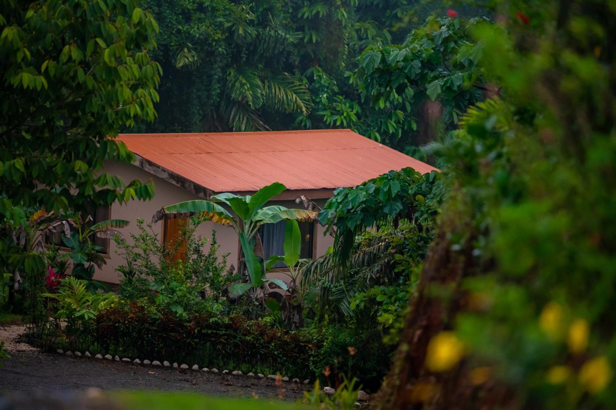 Osa Private Renting House-Villas-Tented-Best Views-Nature-Comfort Puerto Jiménez Kültér fotó